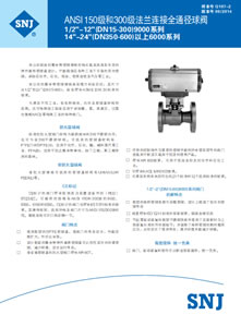 9000/6000系列法兰连接全通径球...