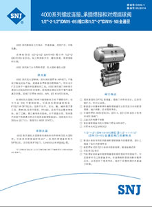 4000系列螺纹连接、承插焊接和...